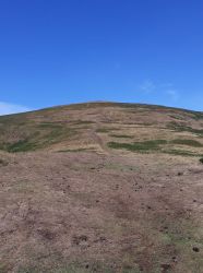 Wooler Vertical 1k feet Trail Race