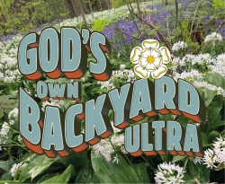 God's Own Back Yard Ultra Fall 2024
