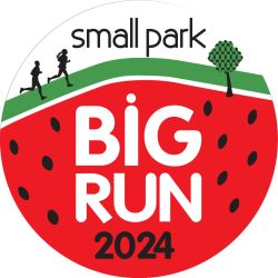 small park BIG RUN DIY Event - any time
