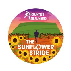 Sunflower Stride