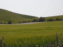 Firle 5km Handicap Trail Race