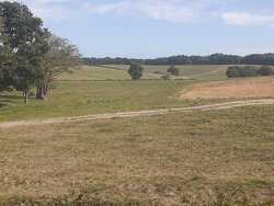 Herstmonceux 8km Trail Race