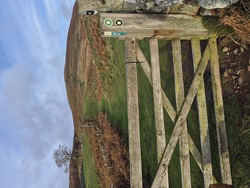 Wooler Vertical 1k feet Trail Race Wooler Vertical 1k feet Trail Race