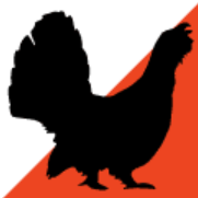 Scottish Night Champs -  Muir of Dinnet