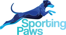 Sporting Paws Beach Dash Sporting Paws Beach Dash