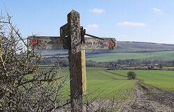 Alfriston 7.5km Trail Race