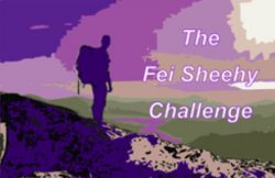 Fei Sheehy Challenge 2027 Fei Sheehy Challenge 2027