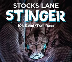 Stocks Lane Stinger