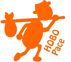 Robin Hood 100