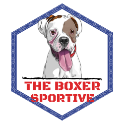 'The Boxer' Bellion - South Lakes