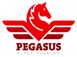 Pegasus SLAM 2022