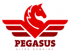 Pegasus SLAM 2024